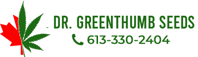 Dr Greenthumb Cannabis Seeds Canada